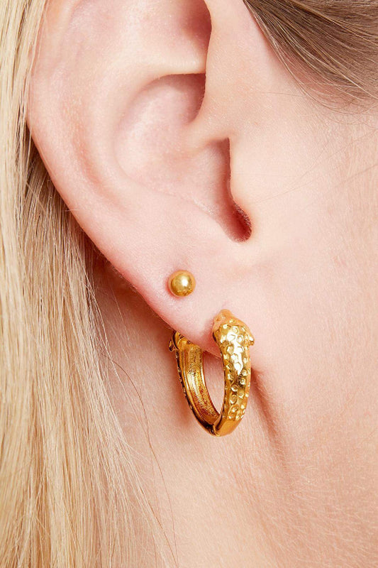 Big Dot Stainless Steel Earrings