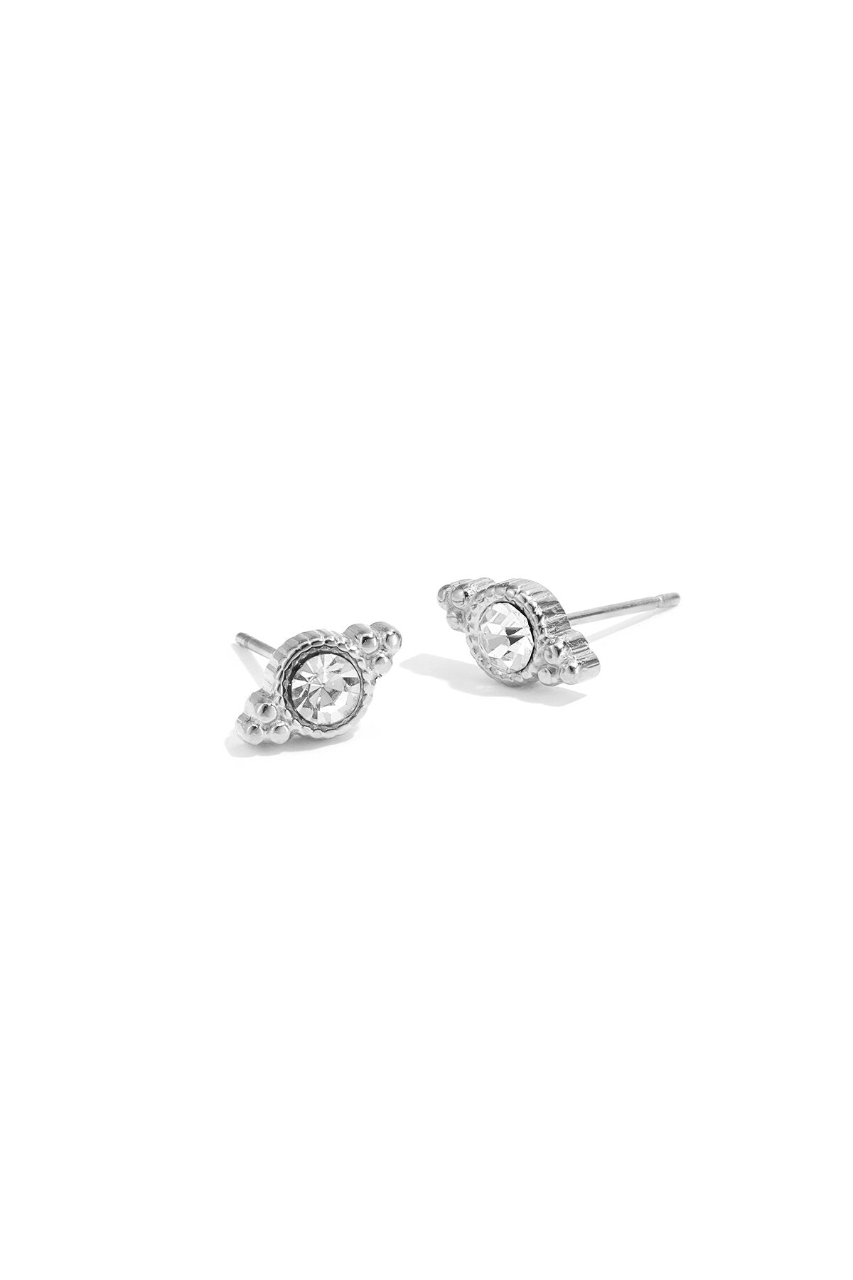 Stainless Steel Stud Earrings irregular shape Casual Daily Simple Series Women's jewelry