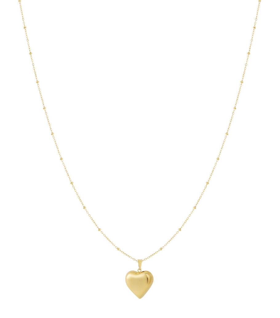 Stainless Steel Pendant necklaces Heart Casual Daily