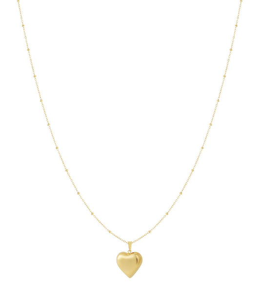 Stainless Steel Pendant necklaces Heart Casual Daily