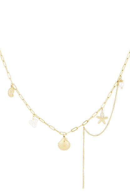 sea shell necklace