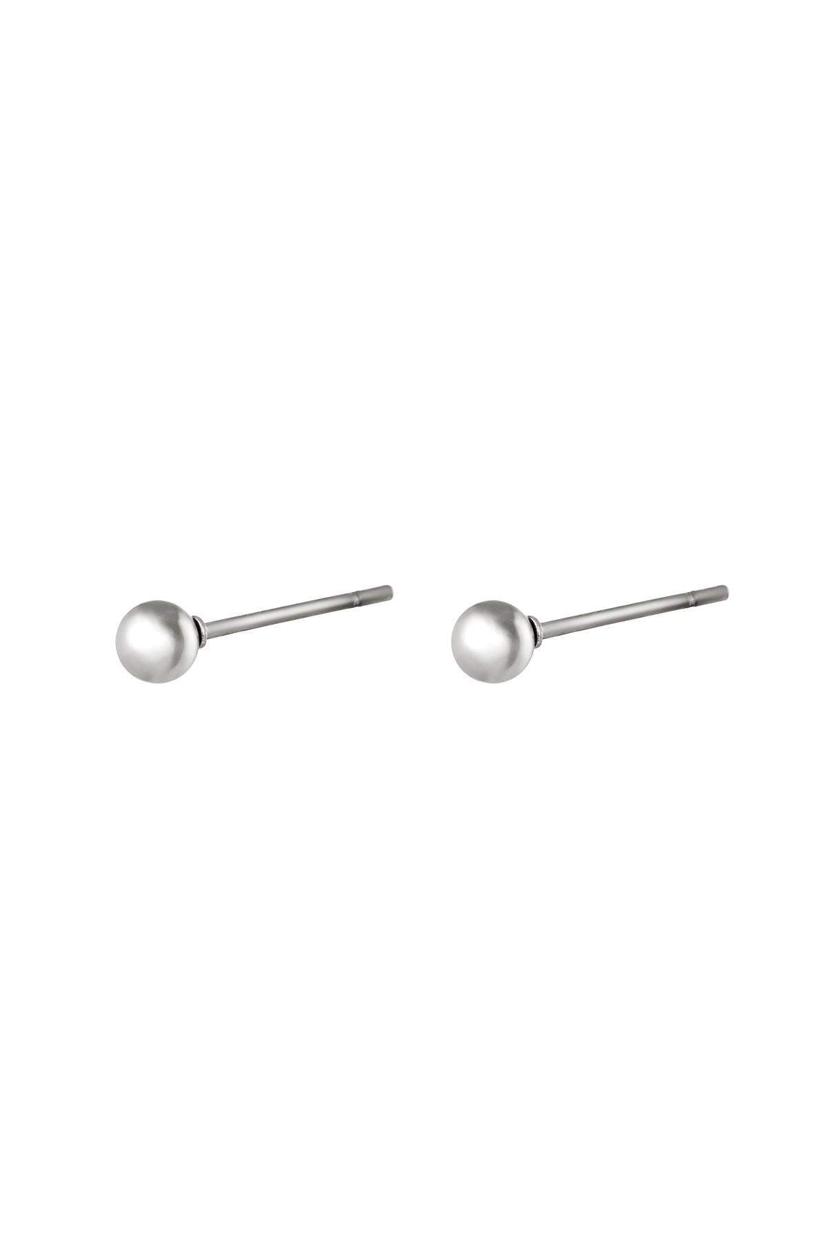 Big Dot Stainless Steel Earrings