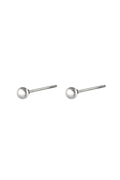 Big Dot Stainless Steel Earrings