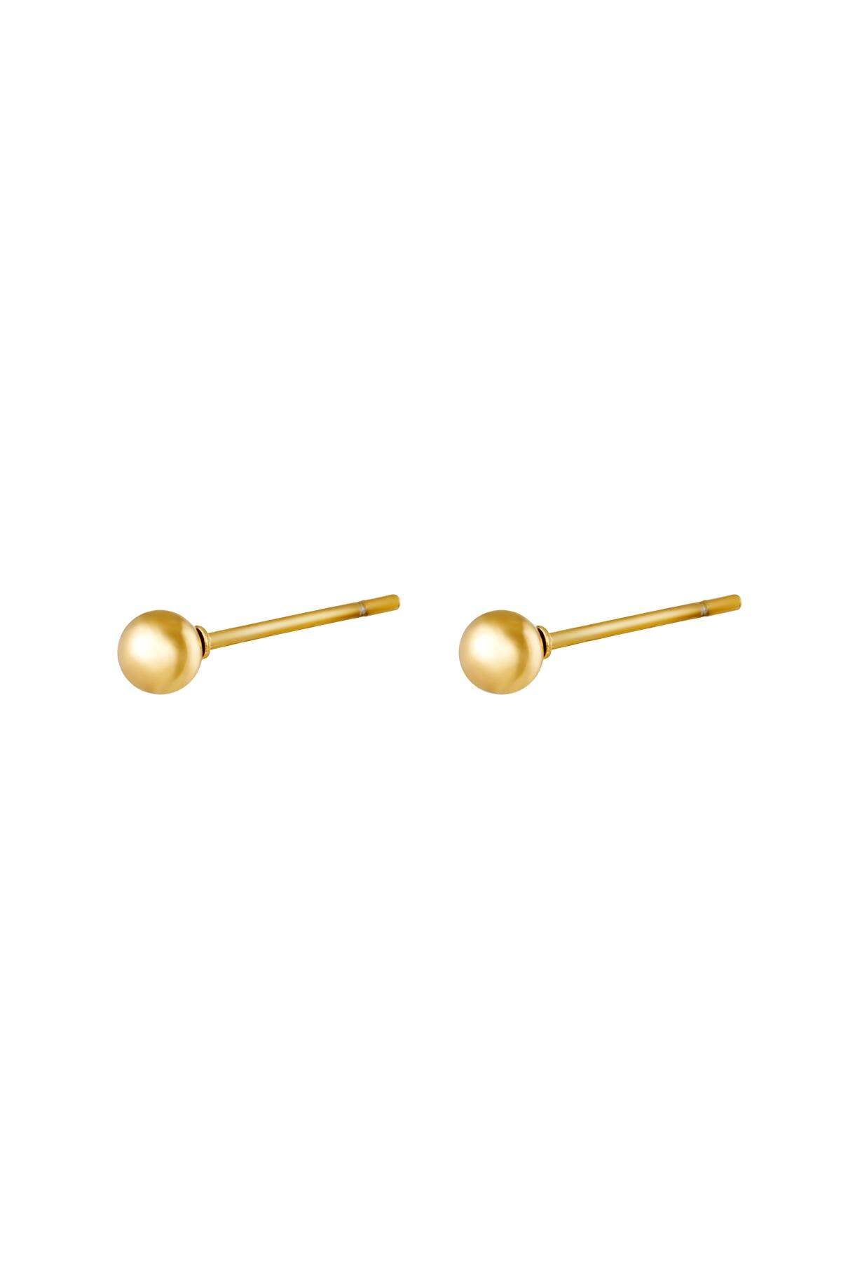 Big Dot Stainless Steel Earrings