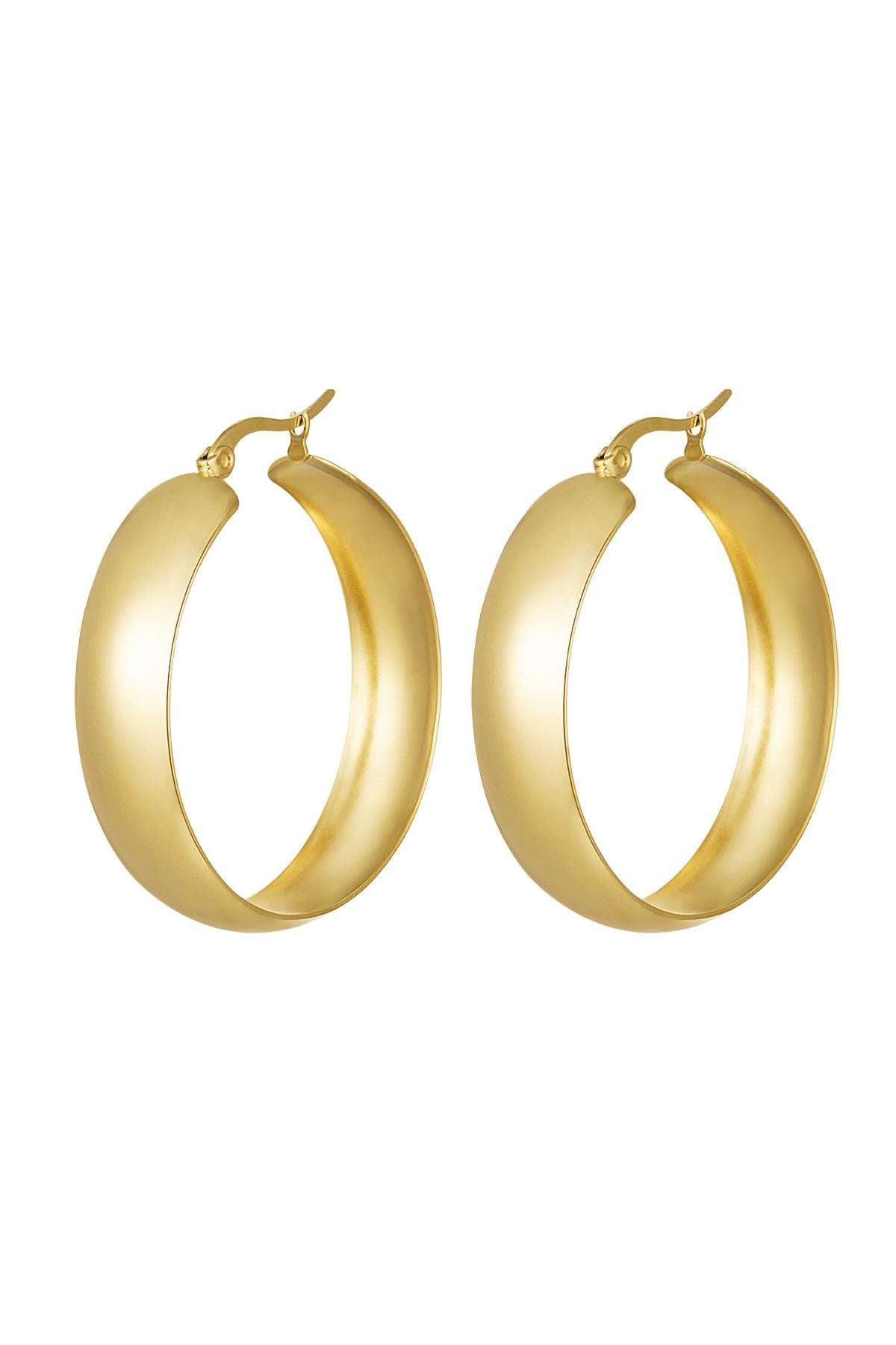 earrings stainless steel chic