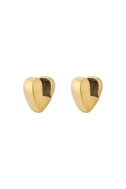 Heart earrings