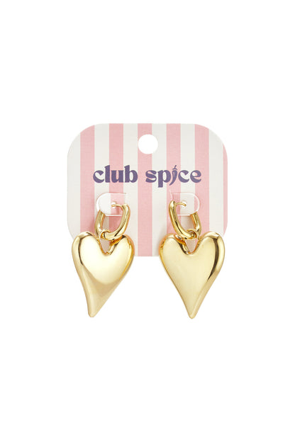 Stainless Steel Drop Earrings Heart Casual Daily Simple Series Women's jewelry