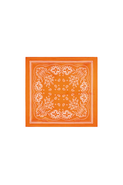 Summer scarves Paisley Pattern Casual Polyester Daily Accessories