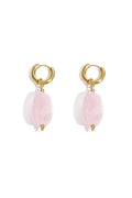 Earrings with organic beads