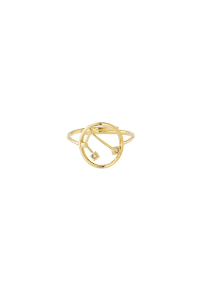 12 Zodiac Rings