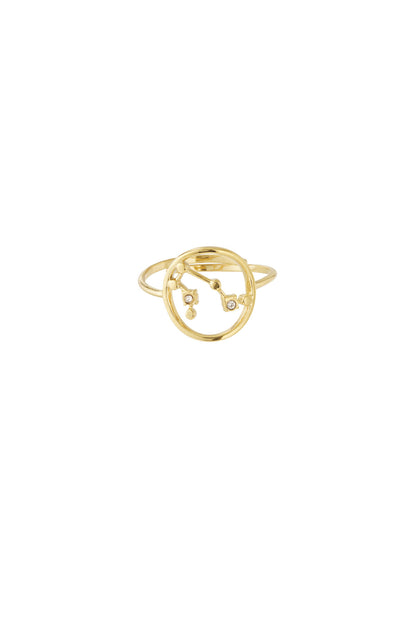 12 Zodiac Rings
