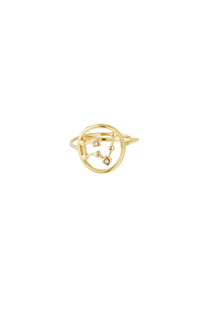 12 Zodiac Rings