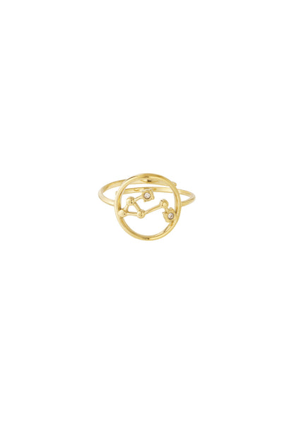 12 Zodiac Rings