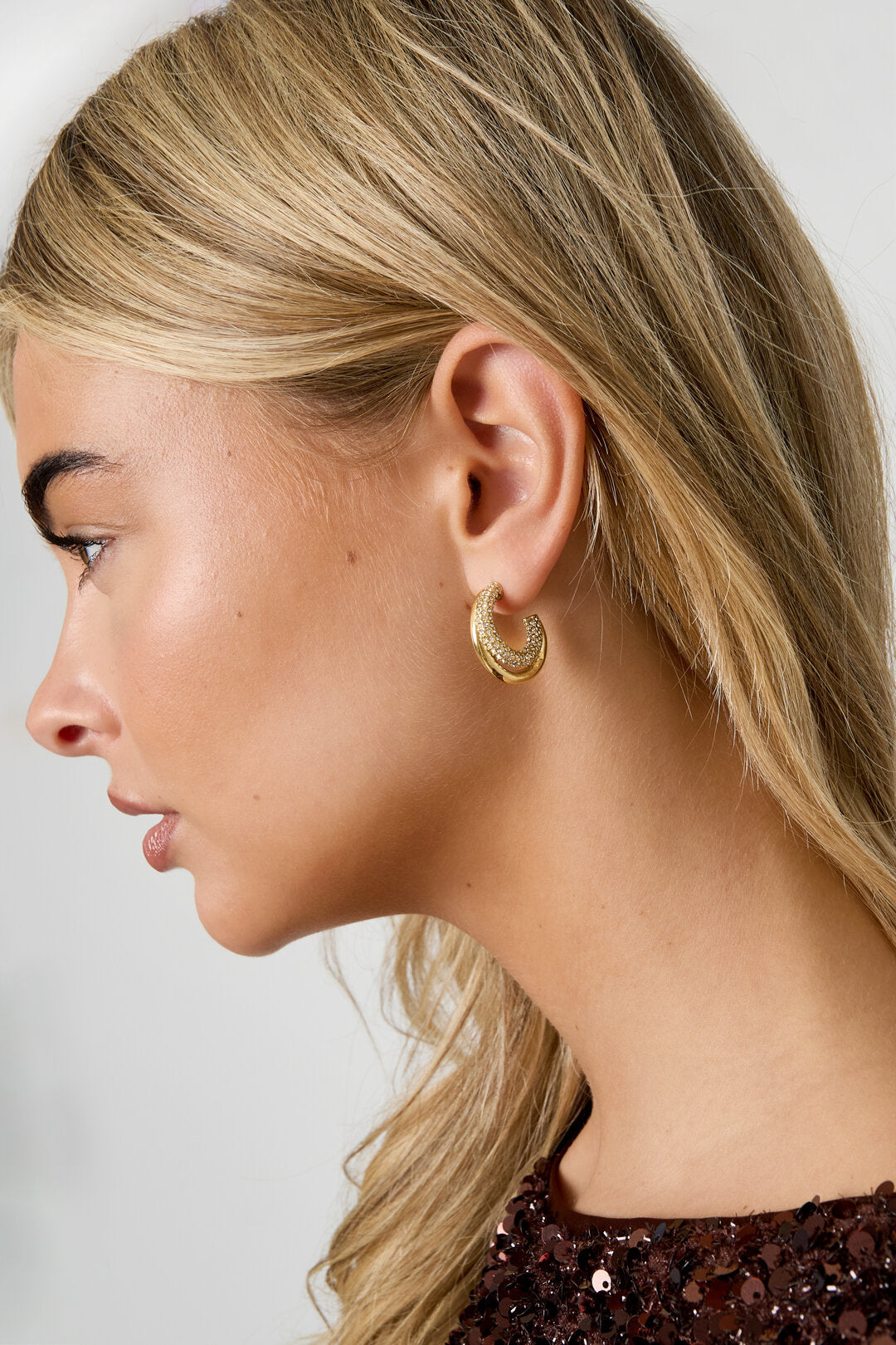 Stainless Steel Hoop Earrings circle Casual Daily Simple Series Women's jewelry