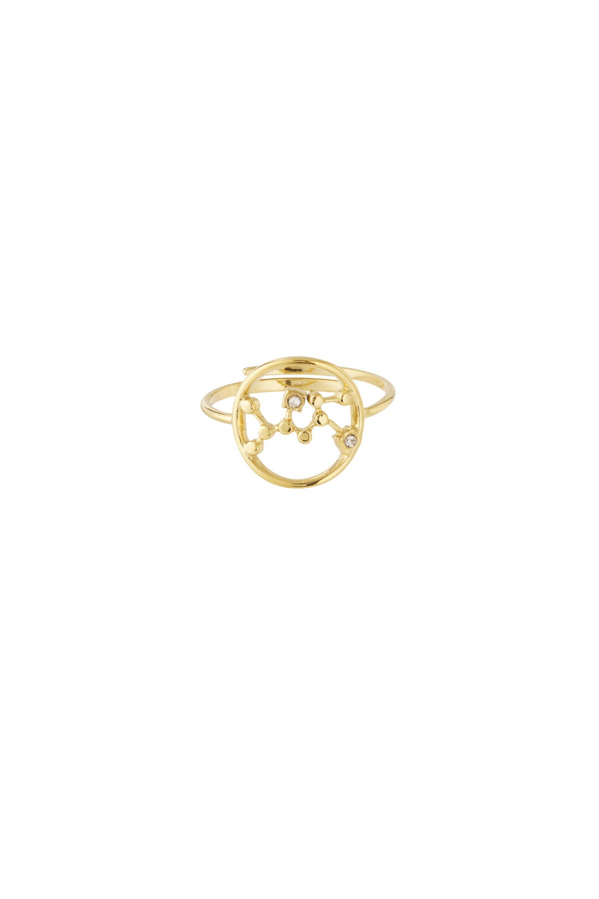 12 Zodiac Rings