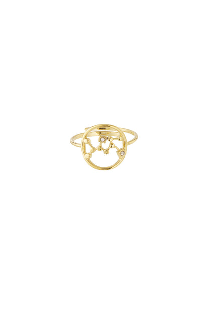 12 Zodiac Rings