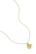 lucky charm necklace