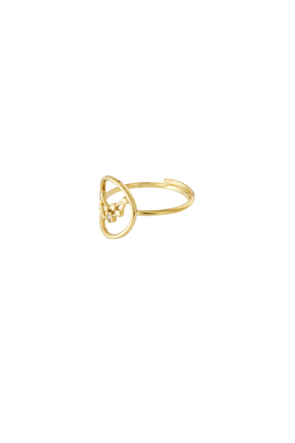 12 Zodiac Rings